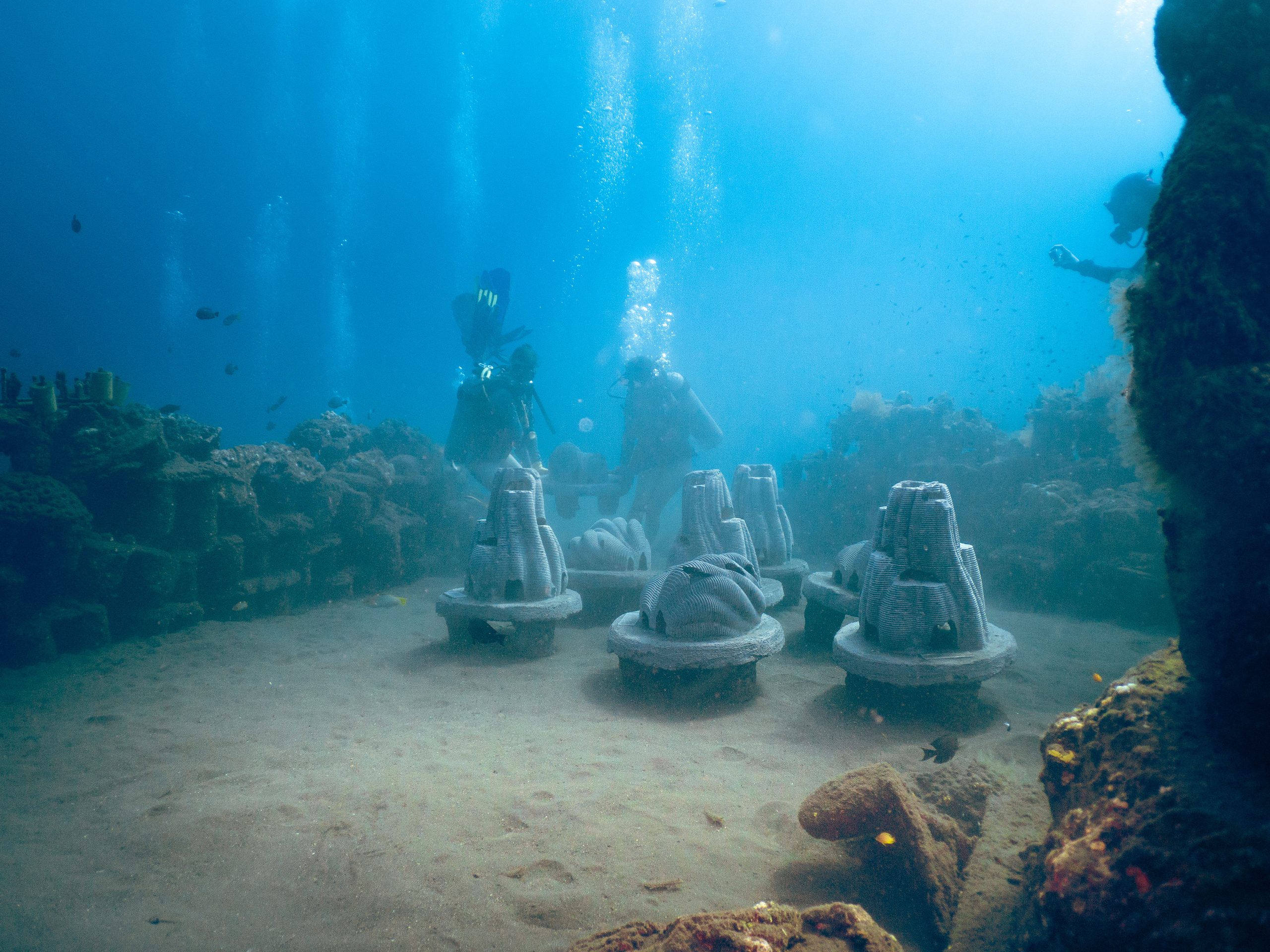 Diver placing a Resting Reef memorial reef on the seabed