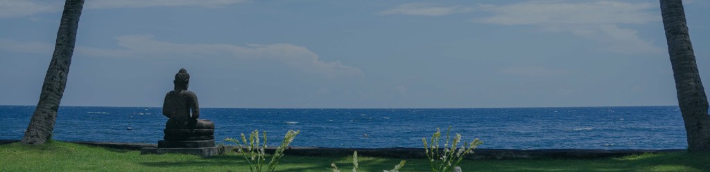 Experiential reef background